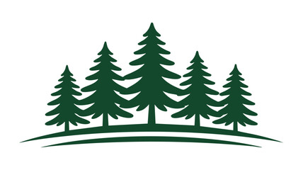 Obraz premium Forest landscape with tall pine trees