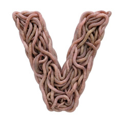 earthworm letter V - Capital 3d earthworm font isolated on white background. This alphabet is perfect for creative illustrations related to gardening, compost, horror concept. Generative AI
