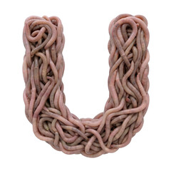 earthworm letter U - Upper-case 3d earthworm font isolated on white background. This alphabet is perfect for creative illustrations related to gardening, compost, horror concept. Generative AI