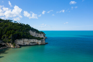 Limestone cliffs covered in dense pine forest rise above clear emerald waters along the Adriatic coast near Peschici, Italy. The tranquil shoreline is illuminated by sunlight beneath a vivid blue sky