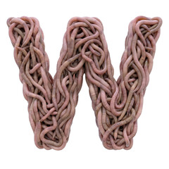 earthworm letter W - Uppercase 3d earthworm font isolated on white background. This alphabet is perfect for creative illustrations related to gardening, compost, horror concept. Generative AI