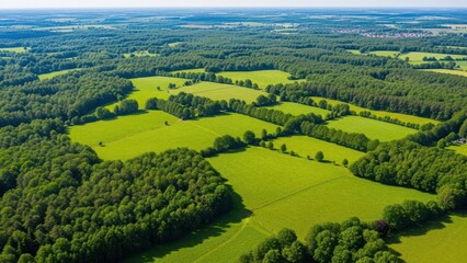 Aerial drone view of lush green rolling fields and dense forests under a clear blue sky, showcasing nature.