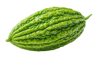 Fresh bitter melon displayed whole highlighting bumpy ridged exterior and healthy vegetable appeal isolated on transparent background PNG