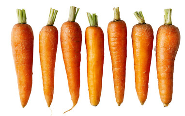 Natural carrots of assorted shapes emphasizing vibrant color and healthy edible quality isolated on transparent background PNG