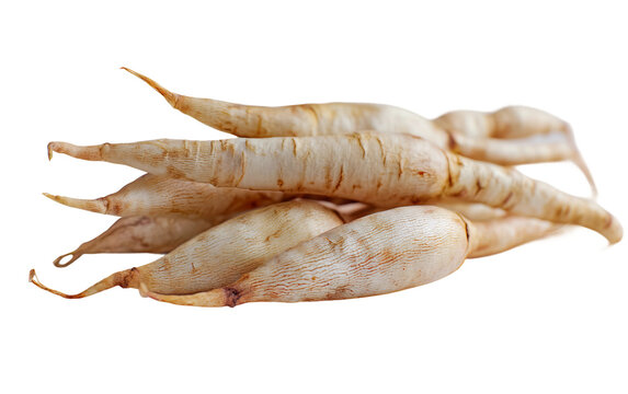 Authentic langsates duku with pale yellow skins ideal for gourmet dishes, superfood snacks, and seasonal produce isolated on transparent background PNG