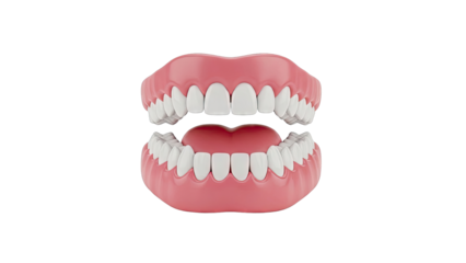Realistic 3D Rendering of Human Dentures