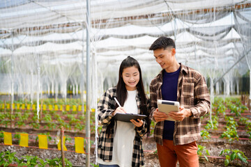 Fototapeta premium Two young farmer male And female standing at greenhouse to calculate production in field. vegetable ready to harvest. Agriculture concept.