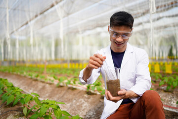 Researcher conducts soil analysis at a plant growth site to improve agricultural practices and promote sustainable farming