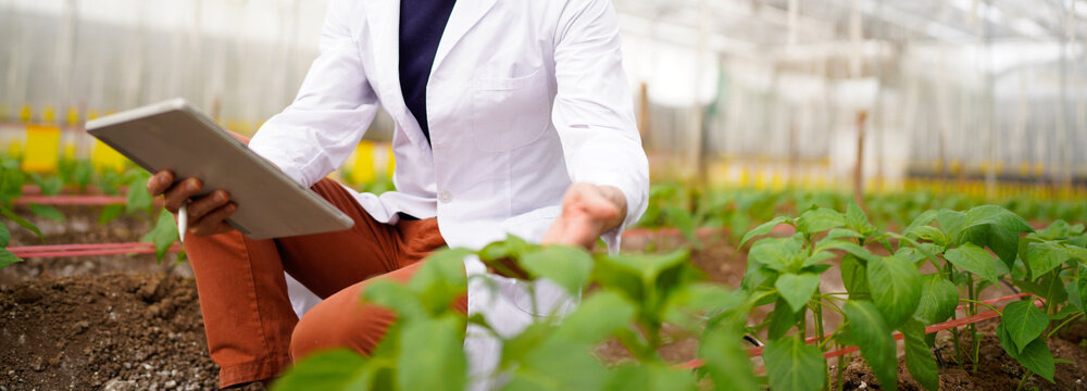 Agricultural developer handsome man trying different apps on tablet computer for advanced chemical inspection of greenhouse farm. Organic plantation. Greenery. - Powered by Adobe