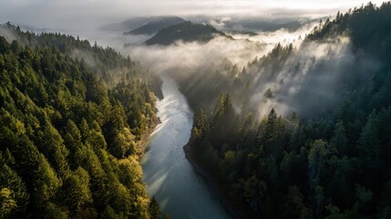 A river surrounded by trees