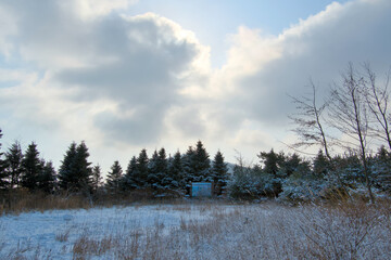 A snow-covered forest in the mountains