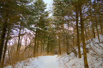 A snow-covered road in the mountains