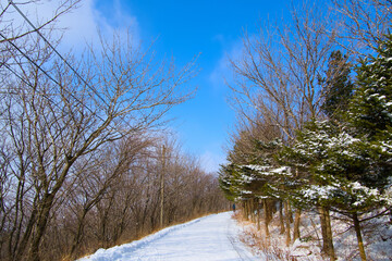 A snow-covered road in the mountains