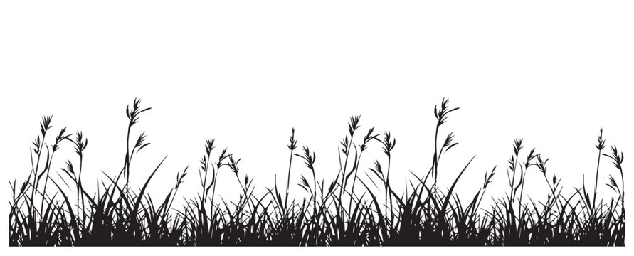 black and white silhouette of grass on a white background