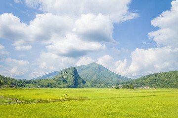 Lush green rice paddies stretch out beneath a prominent forested mountain under a sky filled with dramatic clouds in northern Vietnam. The landscape is open, sunlit, and tranquil, with scattered rural