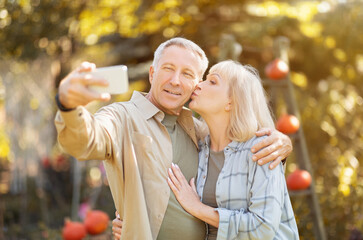 Fototapeta premium Senior couple spending time in sunny garden together, taking selfies, woman kissing husband in cheek. Happy retirement and senior lifestyle concept.