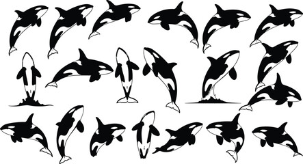 Collection of killer whale silhouettes, orca whale jumping icons, marine life vector set, ocean wildlife graphics, aquatic animal stencils, and nature illustrations. © Mim's World