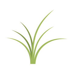 Obraz premium Simple illustration of a cluster of grass blades isolated on white background