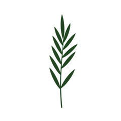 Fototapeta premium Stylized dark green fern leaf design isolated on white background