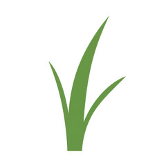 Stylized green grass clump with three blades, simple vector illustration isolated on white background