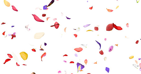 Colorful flower petals sway in the wind. Isolated on black background. 3D rendering.