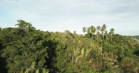 The road between the Rambungan Ferry and Sempadi is peaceful, scenic coastal secondary forests ,Mount Serapi,palm oil estates,Sempadi Beaches and Prawn Farm.