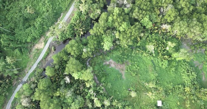 The road between the Rambungan Ferry and Sempadi is peaceful, scenic coastal secondary forests ,Mount Serapi,palm oil estates,Sempadi Beaches and Prawn Farm.