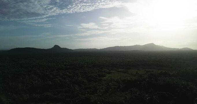 The road between the Rambungan Ferry and Sempadi is peaceful, scenic coastal secondary forests ,Mount Serapi,palm oil estates,Sempadi Beaches and Prawn Farm.