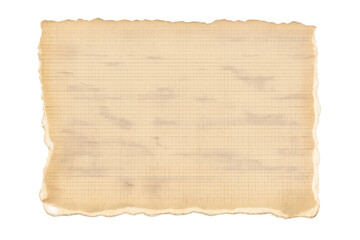 Obraz premium Vintage papyrus paper texture with torn rugged edges and old grunge background on transparent surface