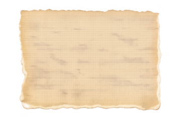 Vintage papyrus paper texture with torn rugged edges and old grunge background on transparent surface