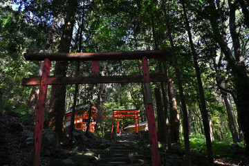 鹿児島神宮にある稲荷神社の参道
