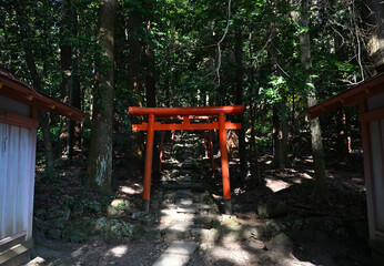 稲荷神社がある鹿児島神宮の風景
