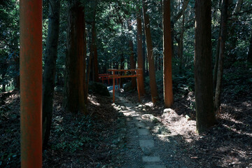 静かな森の中にある稲荷神社の鳥居