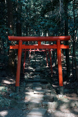 神秘的が鳥居が並ぶ霧島神宮の神社