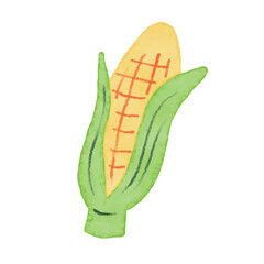 夏野菜のかわいい手描きイラスト。水彩と色鉛筆で描かれた１本のとうもろこし