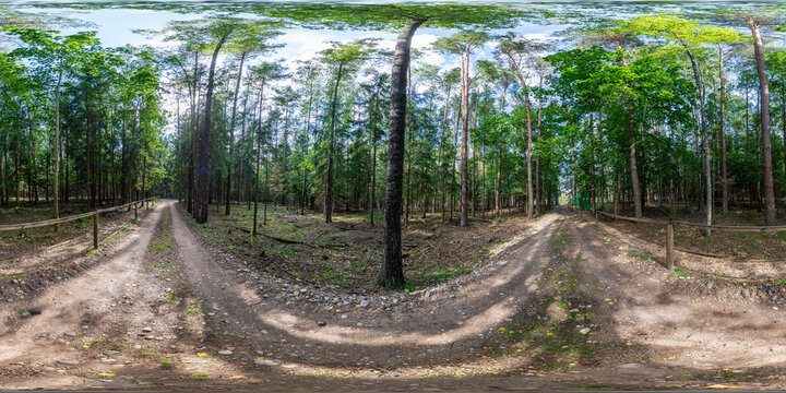 full seamless spherical hdr panorama 360 degrees angle view on fallen tree among bushes of forest or park with stairs in equirectangular projection, ready VR AR virtual reality content