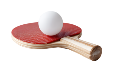Ping pong racket red and ball smooth and white isolated on cut out PNG or transparent background. Table tennis paddle addle features wooden handle. Ideal for themes of sport recreation and fitness.
