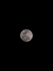 Obraz premium A detailed image of a full moon shining brightly against a dark night sky with no other visible celestial objects or clouds