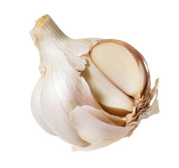 fresh garlic bulb isolated on white background.
