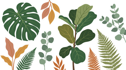 Tropical Leaves Collection Green. © Vecto Nata