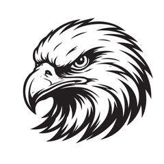 Fototapeta premium hawk head