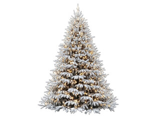 Christmas tree with snow and lights isolated on transparent background