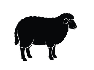 Obraz premium Black silhouette of a sheep standing