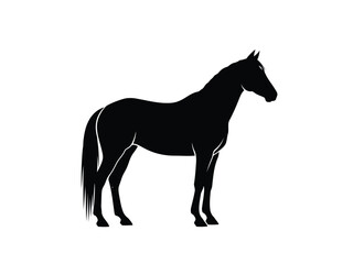 Obraz premium Black silhouette of a horse standing