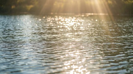 Sunlight Glimmering on the Surface of a Calm Lake with Reflections and Natural Serenity