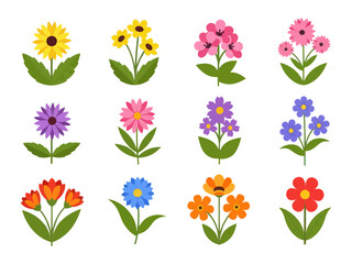 Obraz premium Set of Colorful Garden Flower Illustrations and Botanical Spring Blossom Icons Vector.