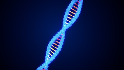 DNA with colourful background anatomy. 3d illustrations