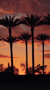 Silhouetted palm trees shot on a DJI Mavic 3 Pro Cine emulating a dolly shot as the sunsets on a tropical colored sky. 