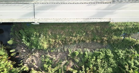 The road between the Rambungan Ferry and Sempadi is peaceful, scenic coastal secondary forests ,Mount Serapi,palm oil estates,Sempadi Beaches and Prawn Farm.