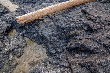 Rugged Coastal Rocks and Driftwood on West Coast Shore, Tofino, Vancouver Island, Canada Seascape
